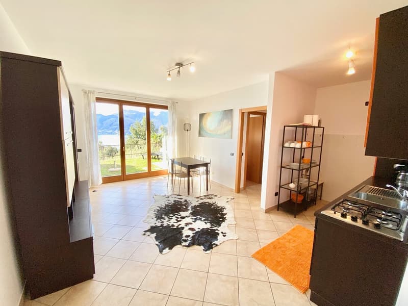 white walls, large living room, open kitchen, large windows, outdoor terrace, large cowhide rug