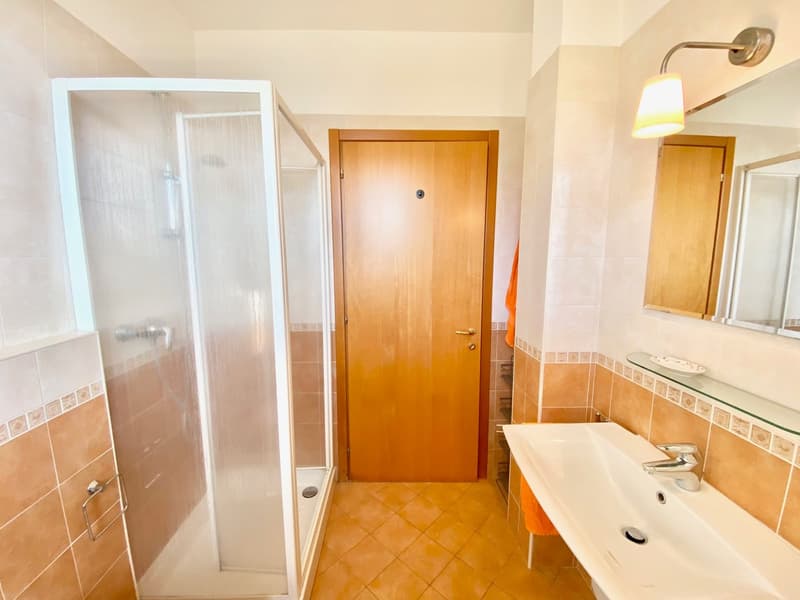 shower cubicle, sink, mirror, wooden door, tiled walls, light fixture