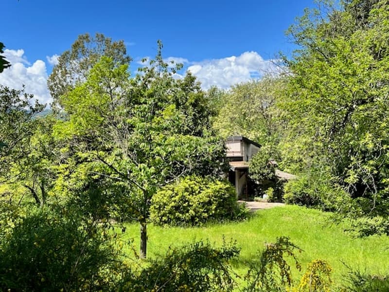 Maison rustique dans un endroit calme et très ensoleillé avec un grand terrain et une vue sur le lac (19)