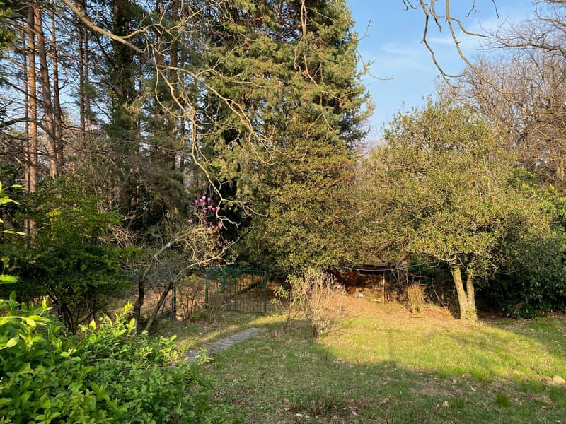 Maison rustique dans un endroit calme et très ensoleillé avec un grand terrain et une vue sur le lac (16)