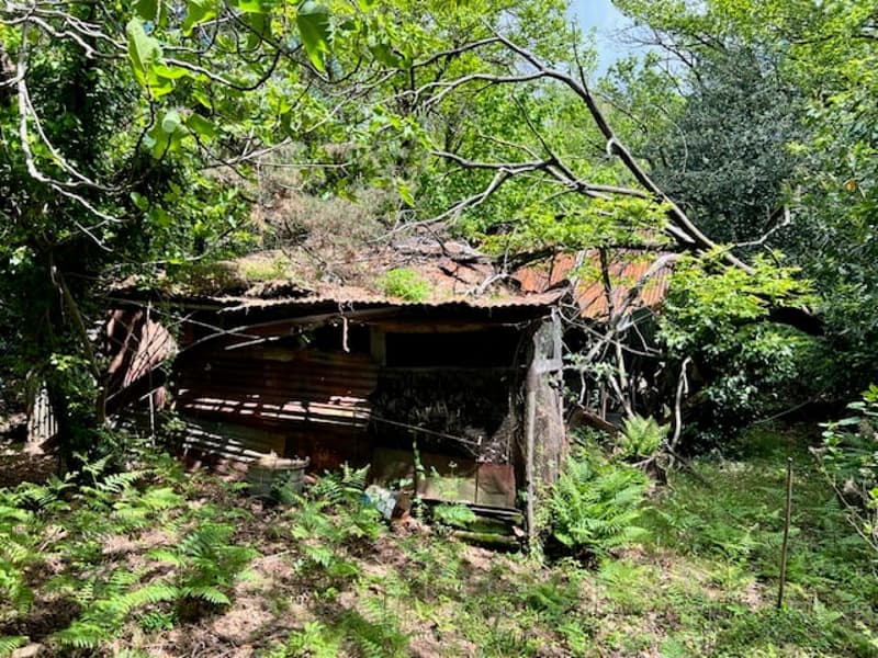 Maison rustique dans un endroit calme et très ensoleillé avec un grand terrain et une vue sur le lac (17)