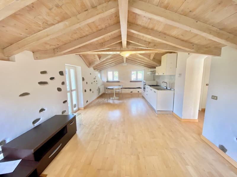 Spacious open-plan living area with wooden vaulted ceiling, hardwood floors, white walls, kitchen with appliances including a dishwasher, and a living/dining area with a TV stand