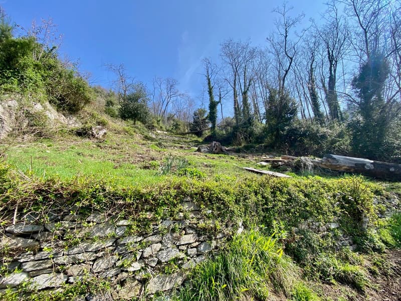 Villa zum Komplettrenovieren in ruhiger und sonniger Südlage mit traumhaftem Seeblick in Strandnähe (11)