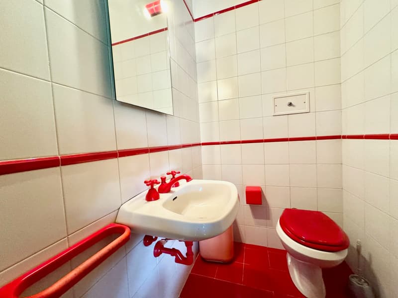 Bathroom with red tiles, white sink, red toilet, mirror