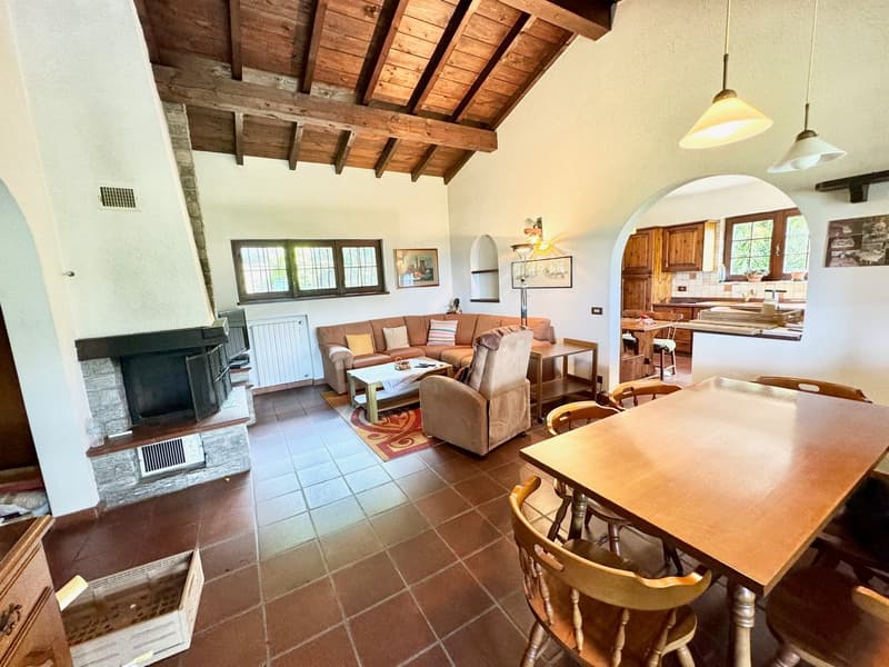 wooden ceiling, brown wooden floor, fireplace, large sofa, coffee table, chairs, wooden table