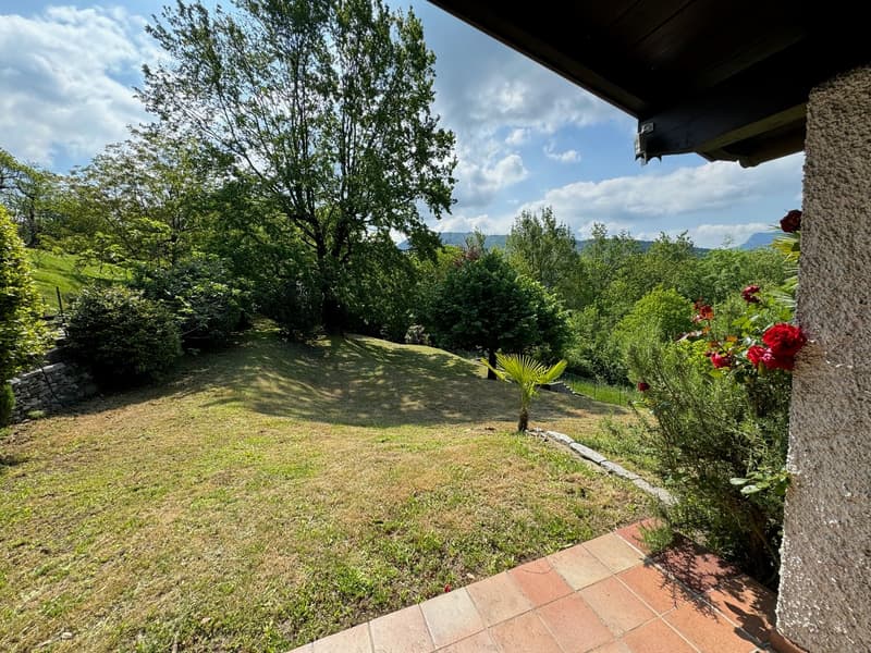 lawn, flowerbed, trees, mountains