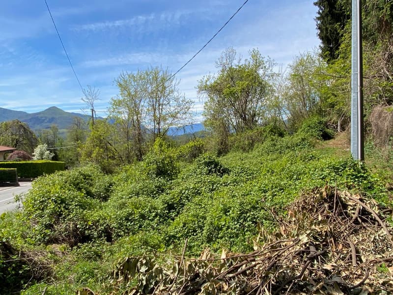 Schönes Baugrundstück in sonniger und ruhiger Lage mit traumhaftem Seeblick (3)