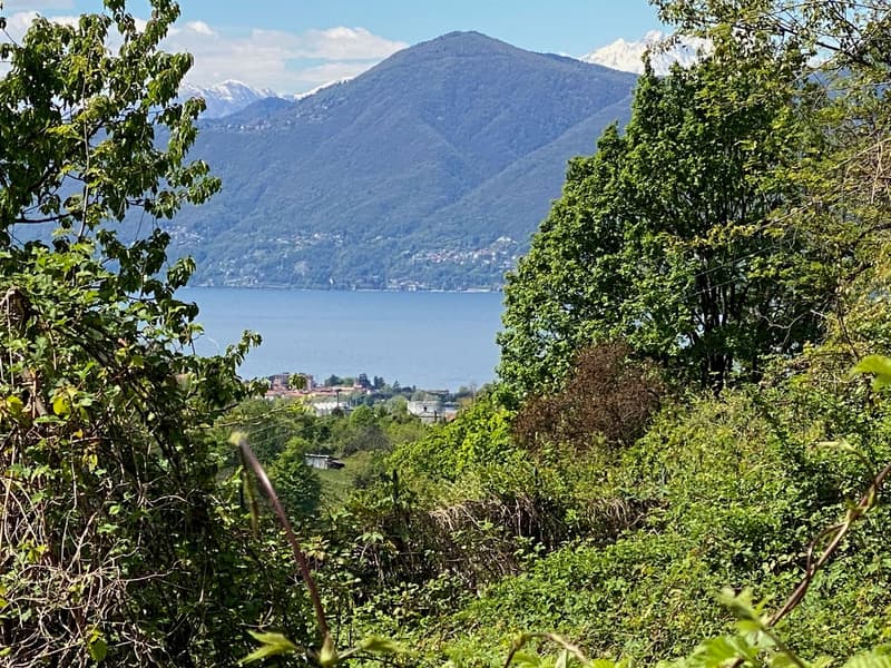 Schönes Baugrundstück in sonniger und ruhiger Lage mit traumhaftem Seeblick (5)