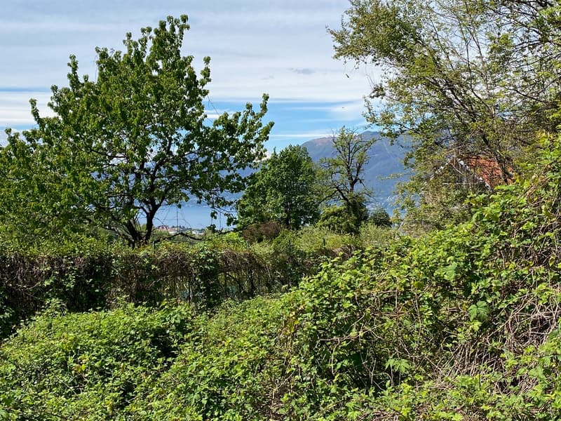 Schönes Baugrundstück in sonniger und ruhiger Lage mit traumhaftem Seeblick (2)