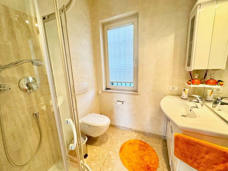 Bathroom with shower, toilet, vanity sink, and window. Orange bath mat on the floor.