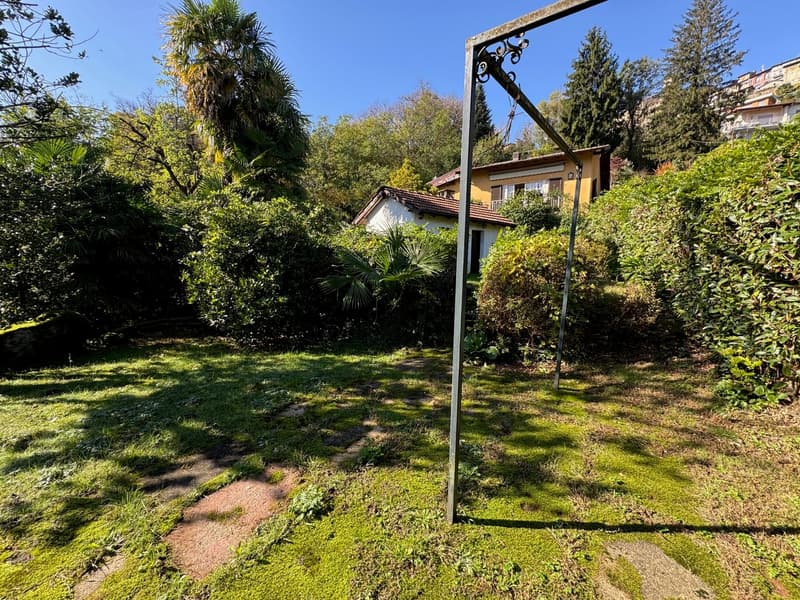 Lush, well-maintained garden with palm trees, shrubs, and a grassy lawn. A decorative lamp post is visible in the foreground. The garden appears to be part of a residential property with a building visible in the background.