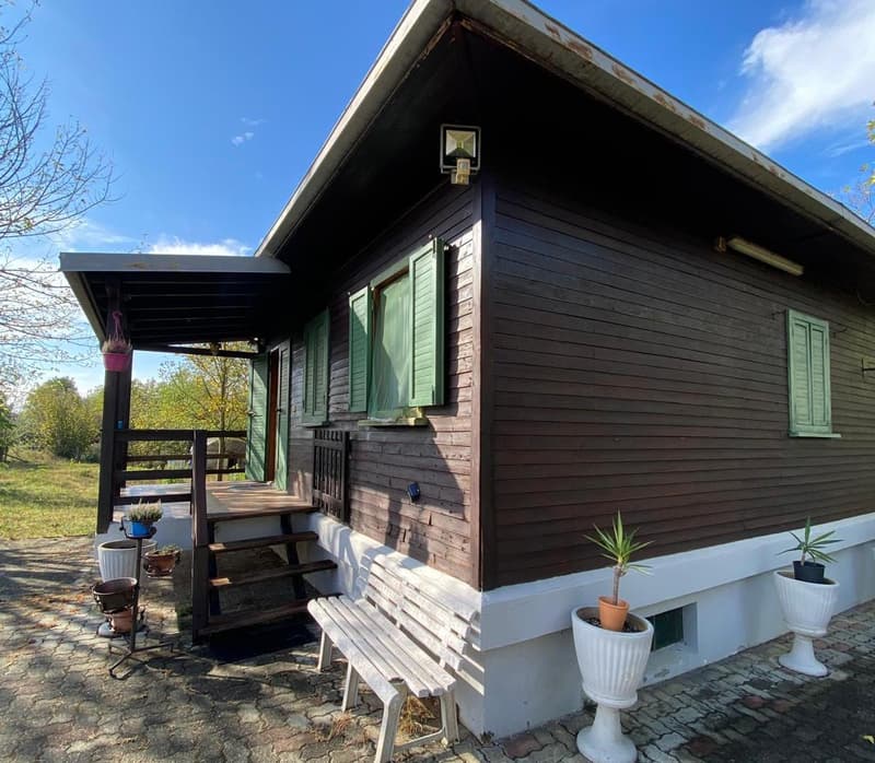 Chalet in posizione tranquilla e soleggiata con bel terreno (2)