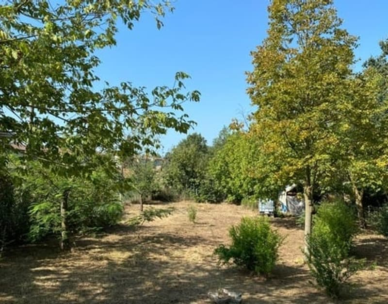 Chalet in posizione tranquilla e soleggiata con bel terreno (14)
