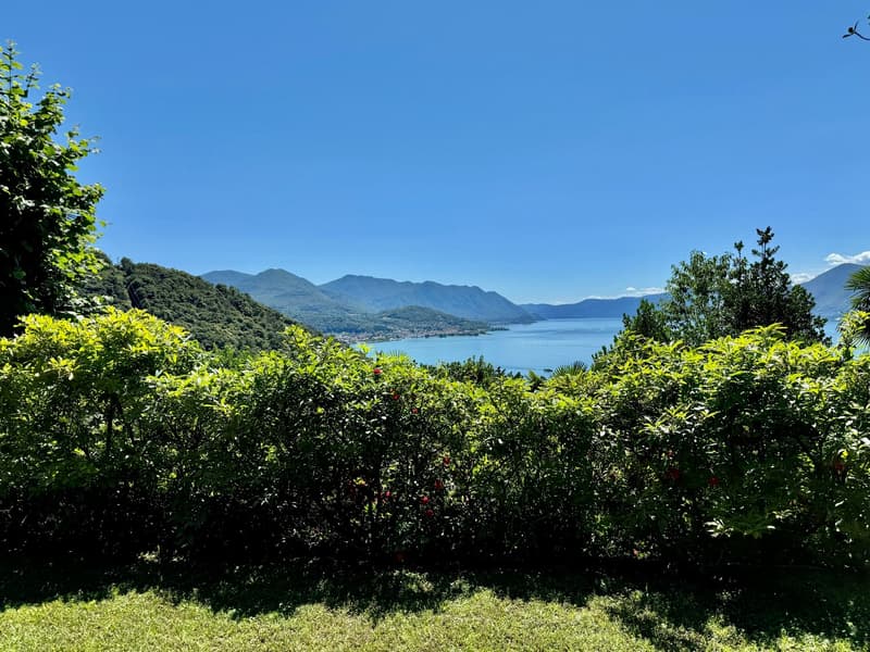 The image shows a scenic view of a lake surrounded by lush, green vegetation and mountains in the background. The lake appears to be Lago Maggiore, a large lake located in northern Italy. The vegetation includes various trees and shrubs, creating a pictur