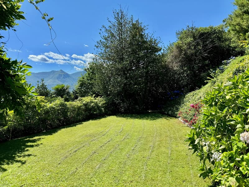 Lush, well-maintained garden with a large grassy lawn, surrounded by tall trees and shrubs. The garden offers a scenic view of the mountains in the background under a blue sky with fluffy white clouds.