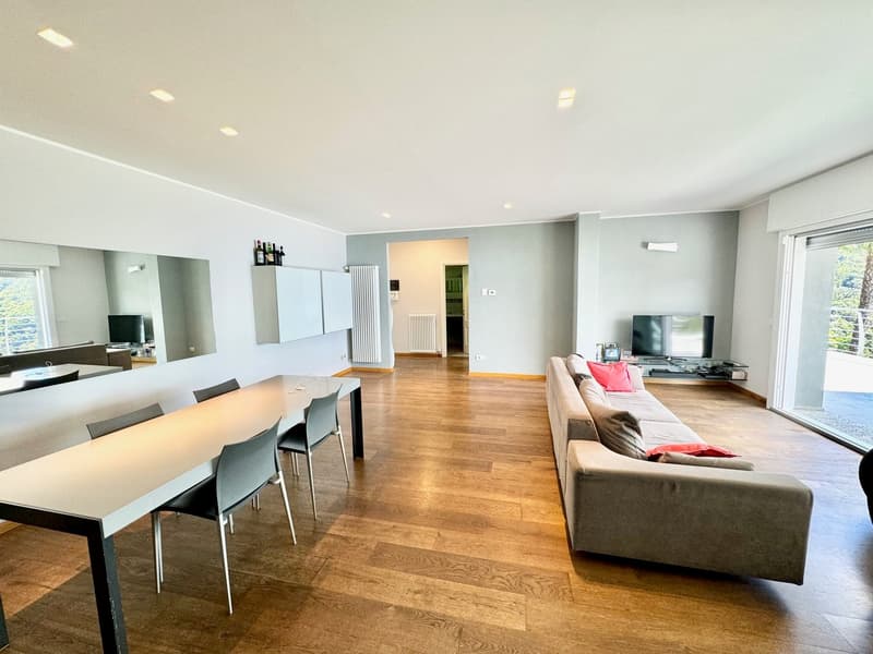 Open-concept living room with hardwood floors, gray walls, large windows, dining table, sofa, and TV stand
