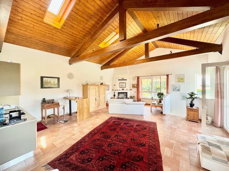 Spacious open-plan living area with high vaulted wooden ceiling, exposed wooden beams, large windows, red patterned rug, wooden furniture, and a fireplace.