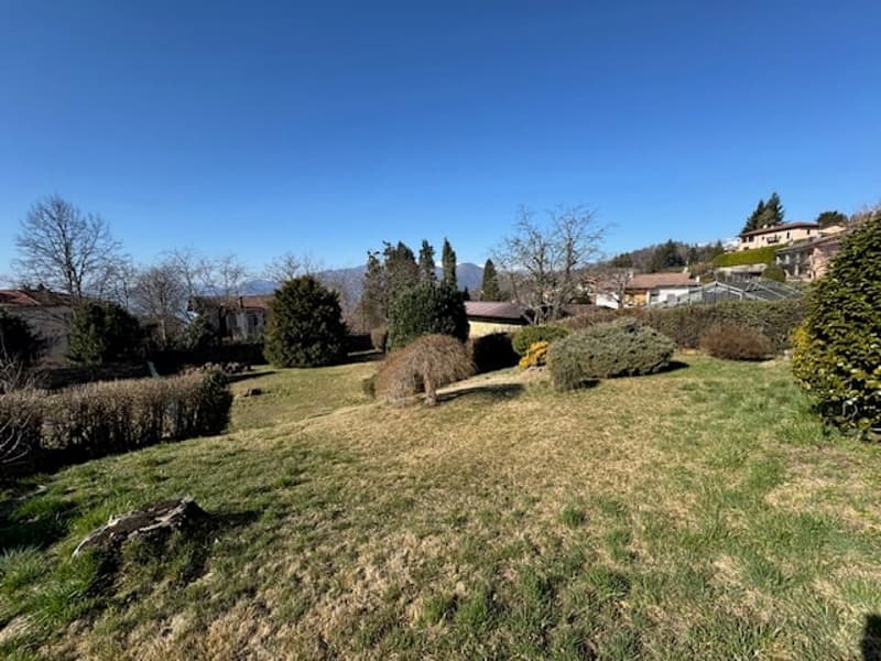 The image shows a scenic outdoor landscape with a large grassy area surrounded by trees and shrubs. There are several buildings visible in the background, suggesting a residential or rural setting. The sky is clear and blue, creating a pleasant and serene