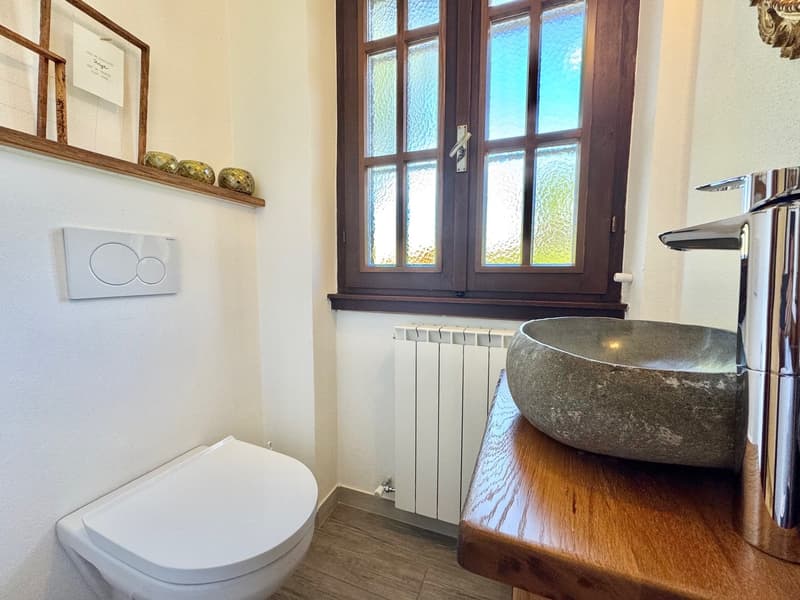 Completely renovated semi-detached house in a quiet and sunny location, just a few steps from the lake (11)