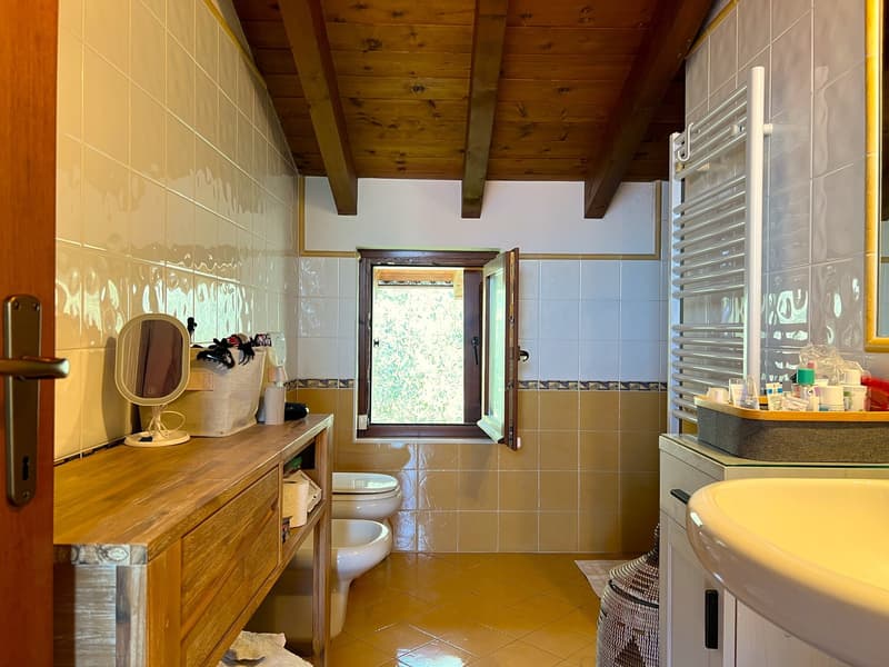 Belle villa entourée de nature avec garage et vue sur le lac Majeur et les montagnes environnantes (13)