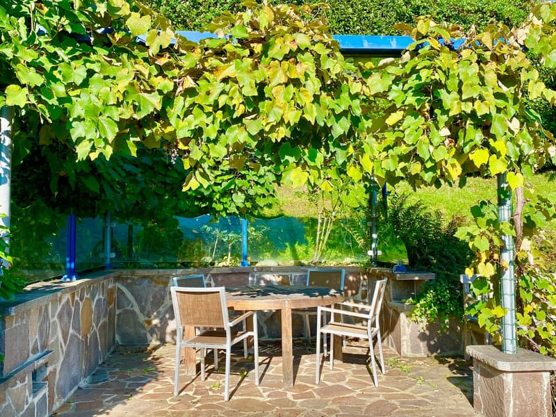 stone-paved patio, table, chairs, covered with climbing vine, stone wall