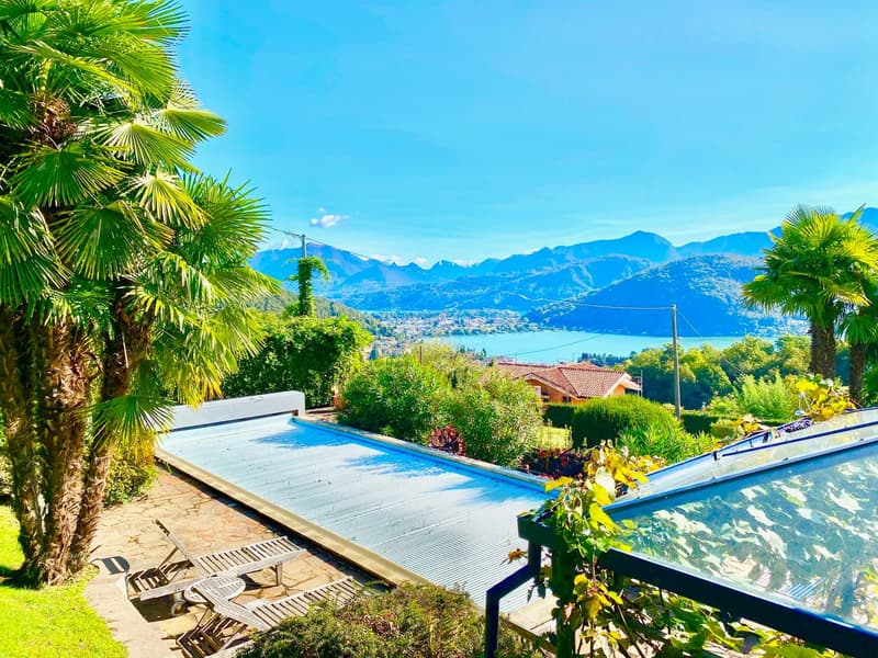 Outdoor pool, deckchairs, palm trees, scenic mountain view