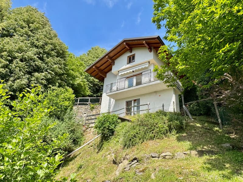 modern design two-story house, white exterior, wooden balcony, lush greenery around