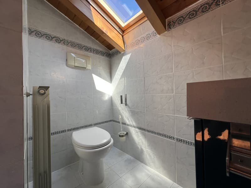 white tiles, white toilet, white sink, skylight, wooden wall