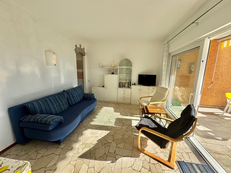 Blue sofa, wooden chairs, cabinet with a glass display, TV, light fixture, tiled floor, sliding glass door leading to a patio.
