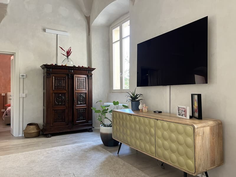 White walls, wooden floor, wooden cabinet, potted plants, flat screen TV, wooden center table