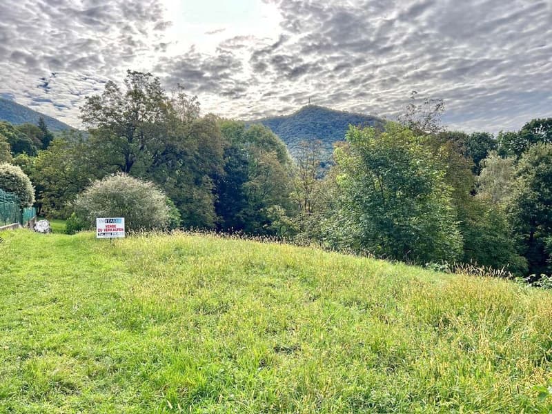 Bel terreno edificabile in posizione soleggiata e tranquilla esposta a (2)