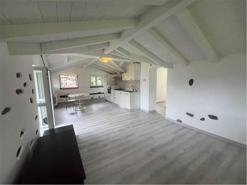 Appartamento ristrutturato in una bella villa, in una posizione tranqu (4)