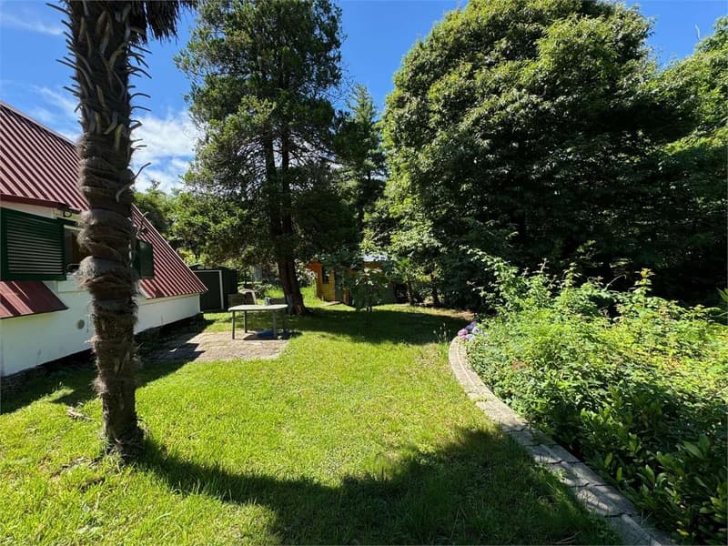 Curata casa vacanze con ampia terrazza, giardino e parcheggio (13)