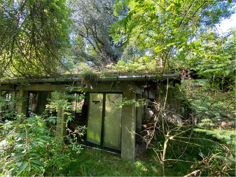 Casa di campagna da ricostruire in posizione isolata con ampio terreno (2)