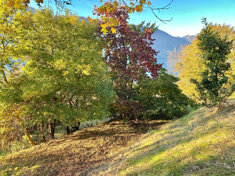 Casa da ristrutturare in una posizione tranquilla e soleggiata con inc (11)