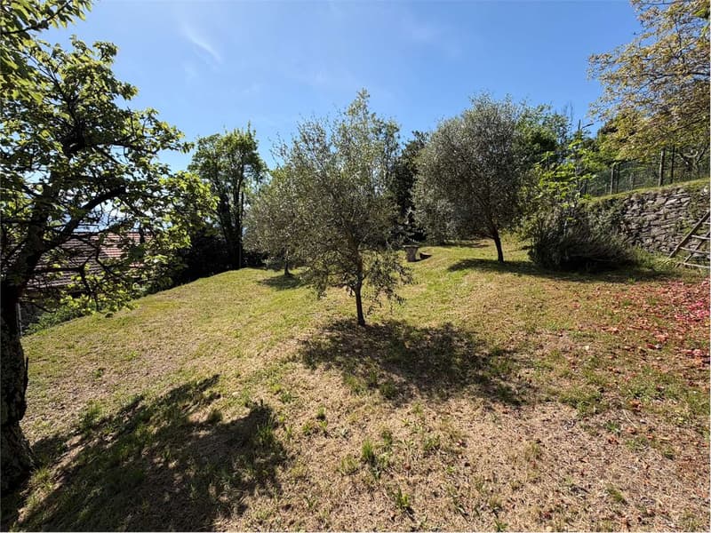 Casa indipendente da ristrutturare in posizione soleggiata e tranquill (9)