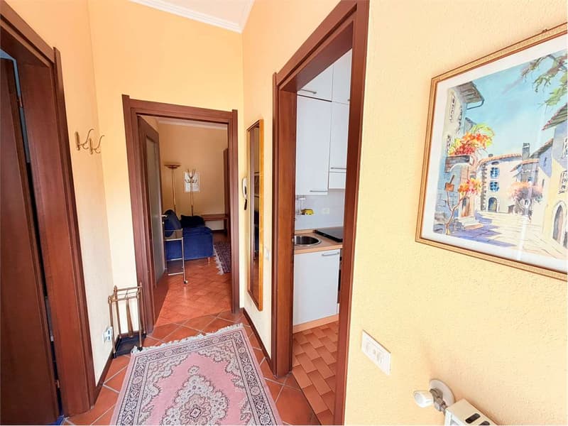 Grazioso monolocale in una posizione tranquilla e soleggiata con pisci (2)