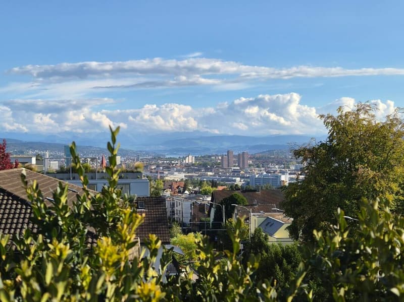 4½-Zimmer Attikawohnung über den Dächern von Zürich Höngg. (9)