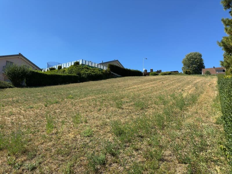 Bauland an top Aussichtslage in Buchs ZH (2)
