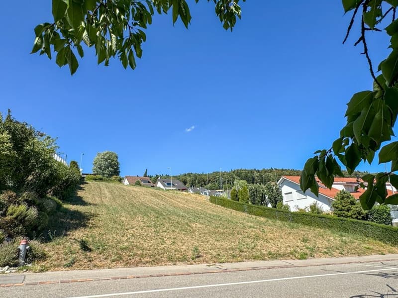Bauland an top Aussichtslage in Buchs ZH (1)