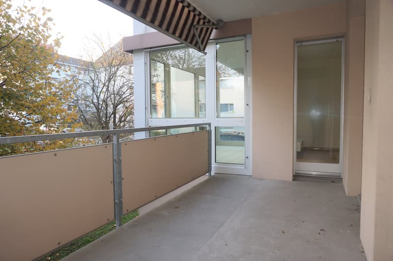 Metal railings, empty balcony, two glass doors, awning, trees