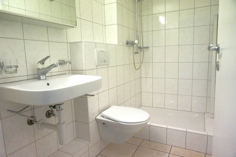 small bathroom with toilet, shower, sink, white tiles