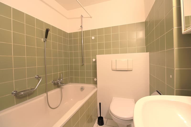 Möbliertes WG-Zimmer in Basel (5)
