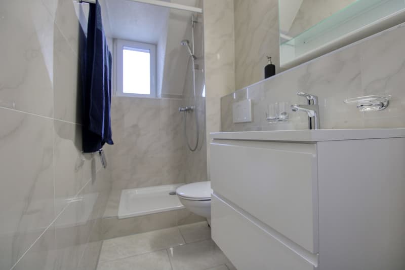 modern bathroom with glass shower, white sink, white toilet, large mirror
