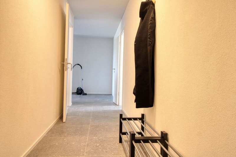 James #4 - Appartement Coliving Spacieux à Crissier (15)