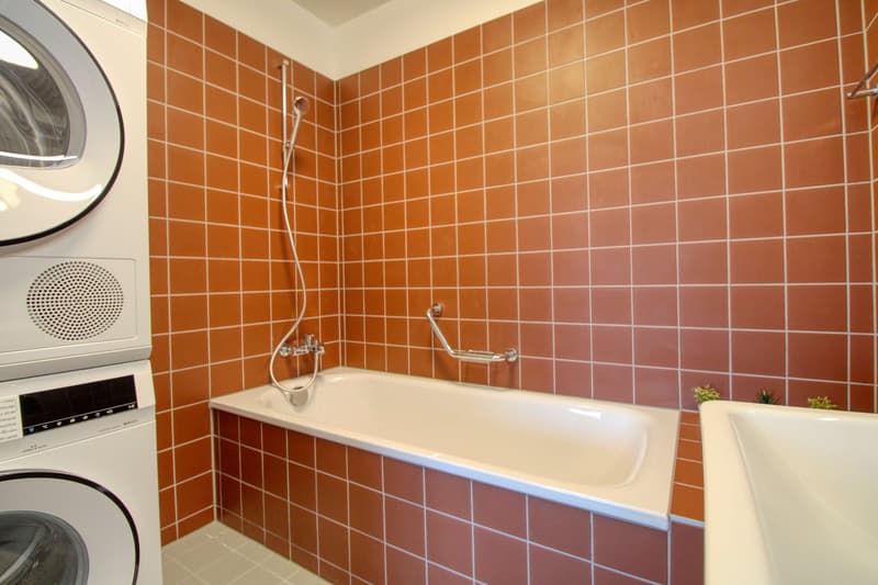 James #4 - Appartement Coliving Spacieux à Crissier (14)