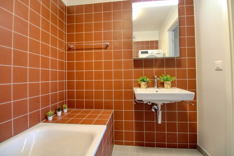 James #4 - Appartement Coliving Spacieux à Crissier (13)