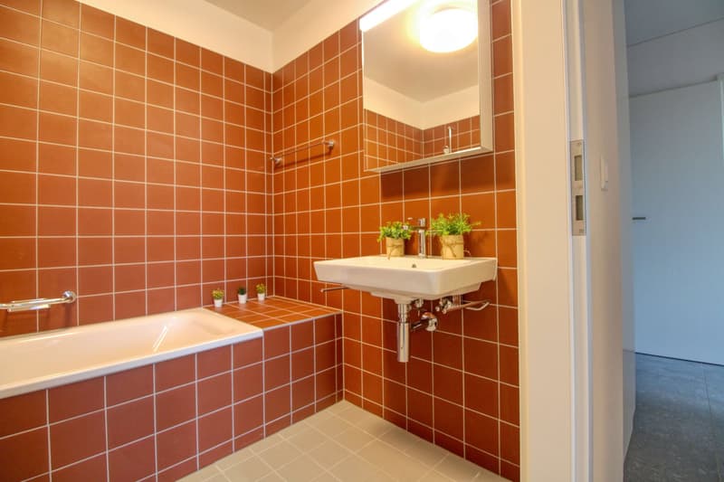 James #4 - Appartement Coliving Spacieux à Crissier (11)