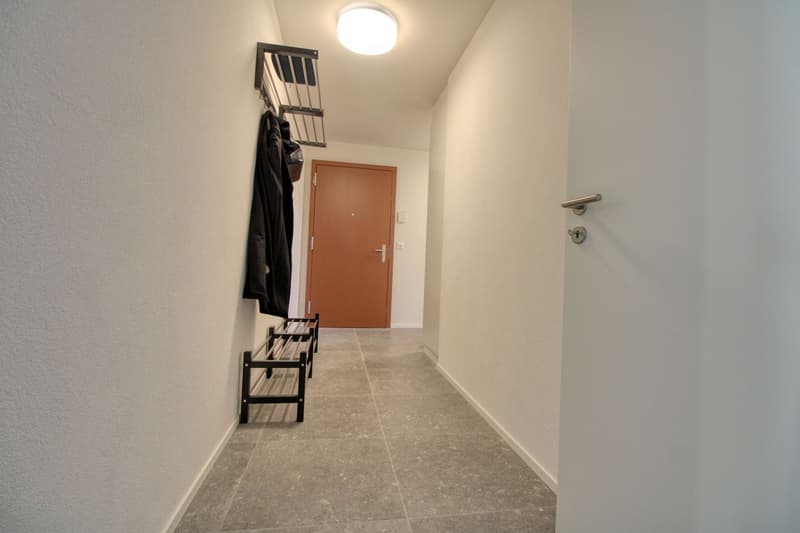 James #4 - Appartement Coliving Spacieux à Crissier (17)