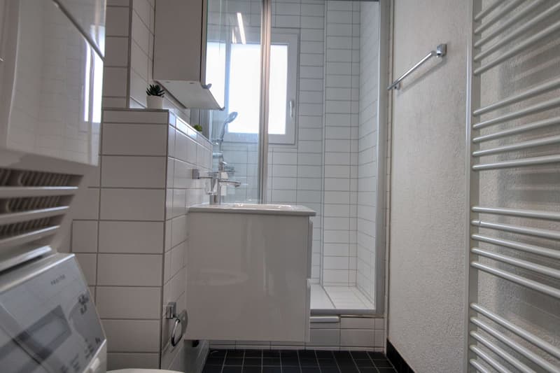 Rick #1 - Möbliertes Zimmer in modernisierter Wohnung an top Lage (15)
